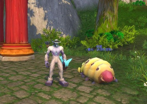 魔兽世界如何卡位面[图2]