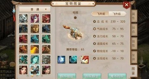 问道手游怎么培养电精[图1]