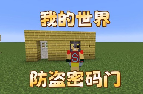 我的世界中有什么门[图1]
