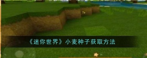 迷你世界种子是什么[图1]