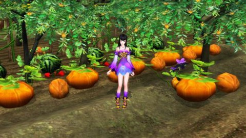 倩女幽魂苗圃能种什么[图1]