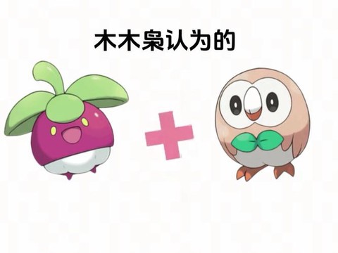 宝可梦日月怎么跟随[图2]