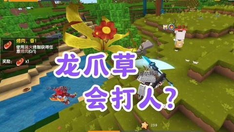 迷你世界龙爪草怎么种[图1]