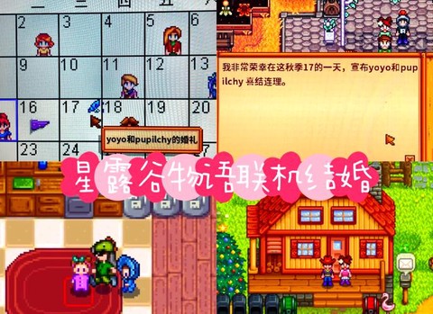 星露谷物语如何订婚[图1]