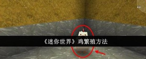 迷你世界怎么用鸡肉[图1]