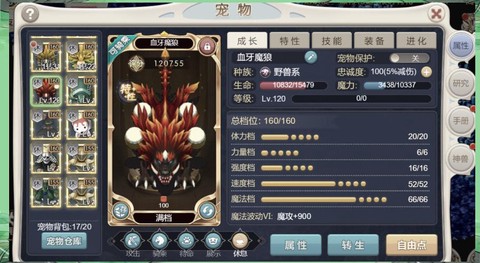 魔力宝贝宠物怎么弄[图2]