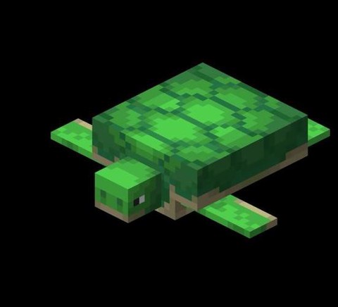 我的世界海龟怎么驯服[图1]