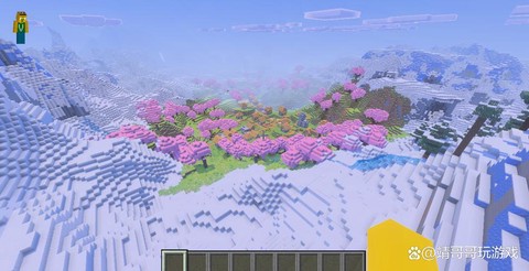 我的世界什么种子好玩[图2]