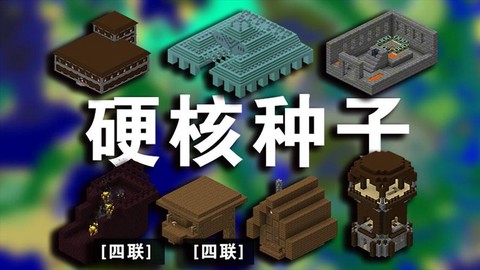 我的世界什么种子最好[图1]