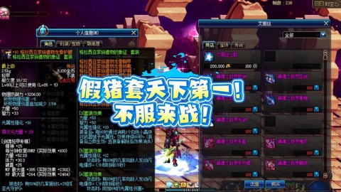 dnf假猪套叫什么[图2]