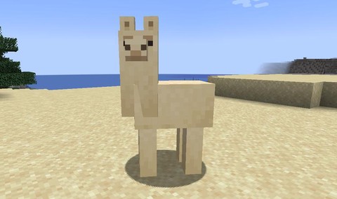 我的世界的羊驼吃什么[图2]