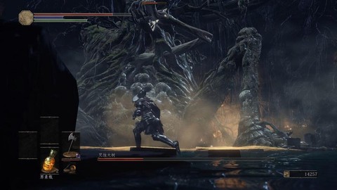 黑魂3咒蚀大树怎么打[图2]