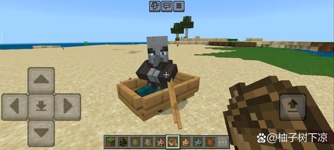 我的世界道士有什么用[图1]