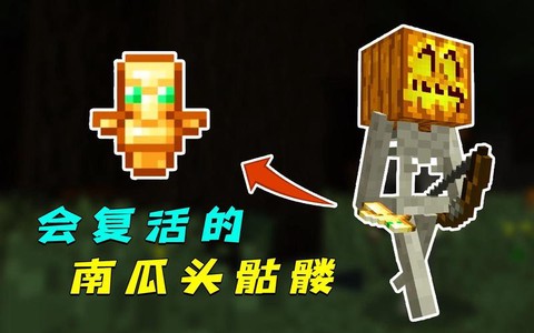 我的世界怎么做南瓜人[图2]